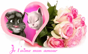 Gif je t'aime mon amour chats bisous